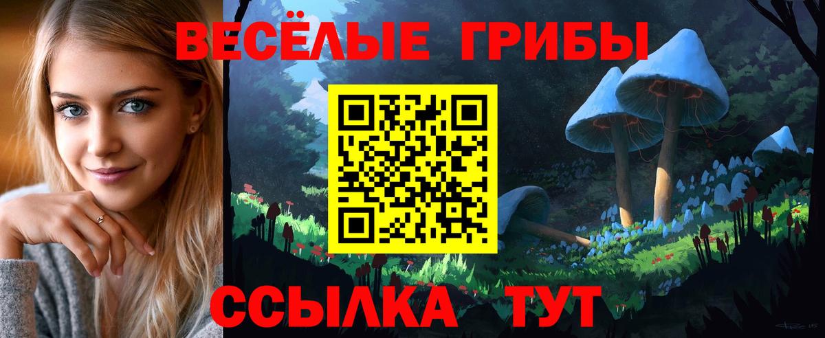 Галлюциногенные грибы Magic Shrooms Чехов